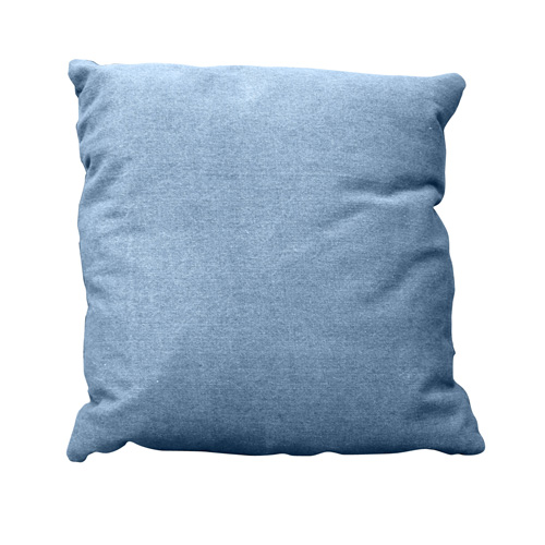 Cushion